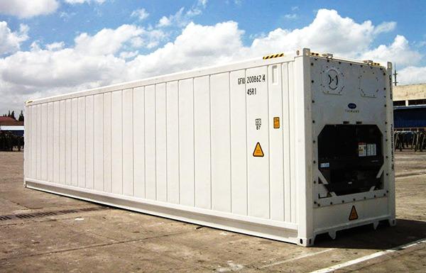 Ý nghĩa của container lạnh trong logistics