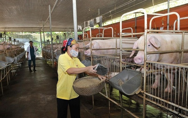 Ứng dụng trong chăn nuôi và nông nghiệp công nghệ cao
