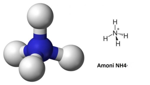 khu-mui-khai-nuoc-tieu-cho-1